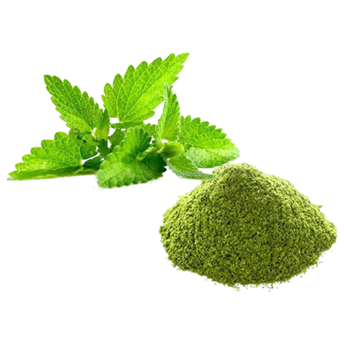 Mint Leaves Powder